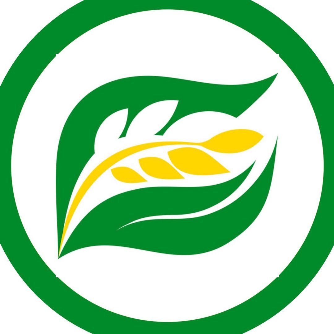 logo-image