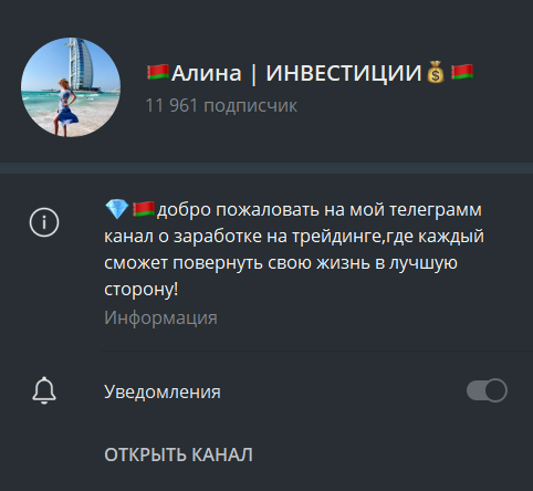 алина вишневская инвестор