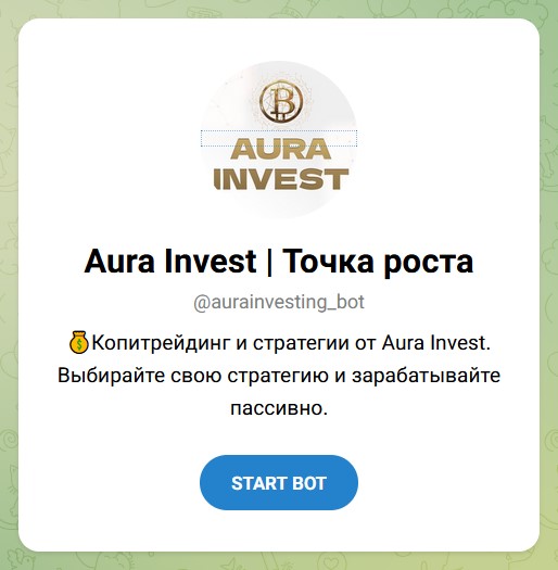 aura invest