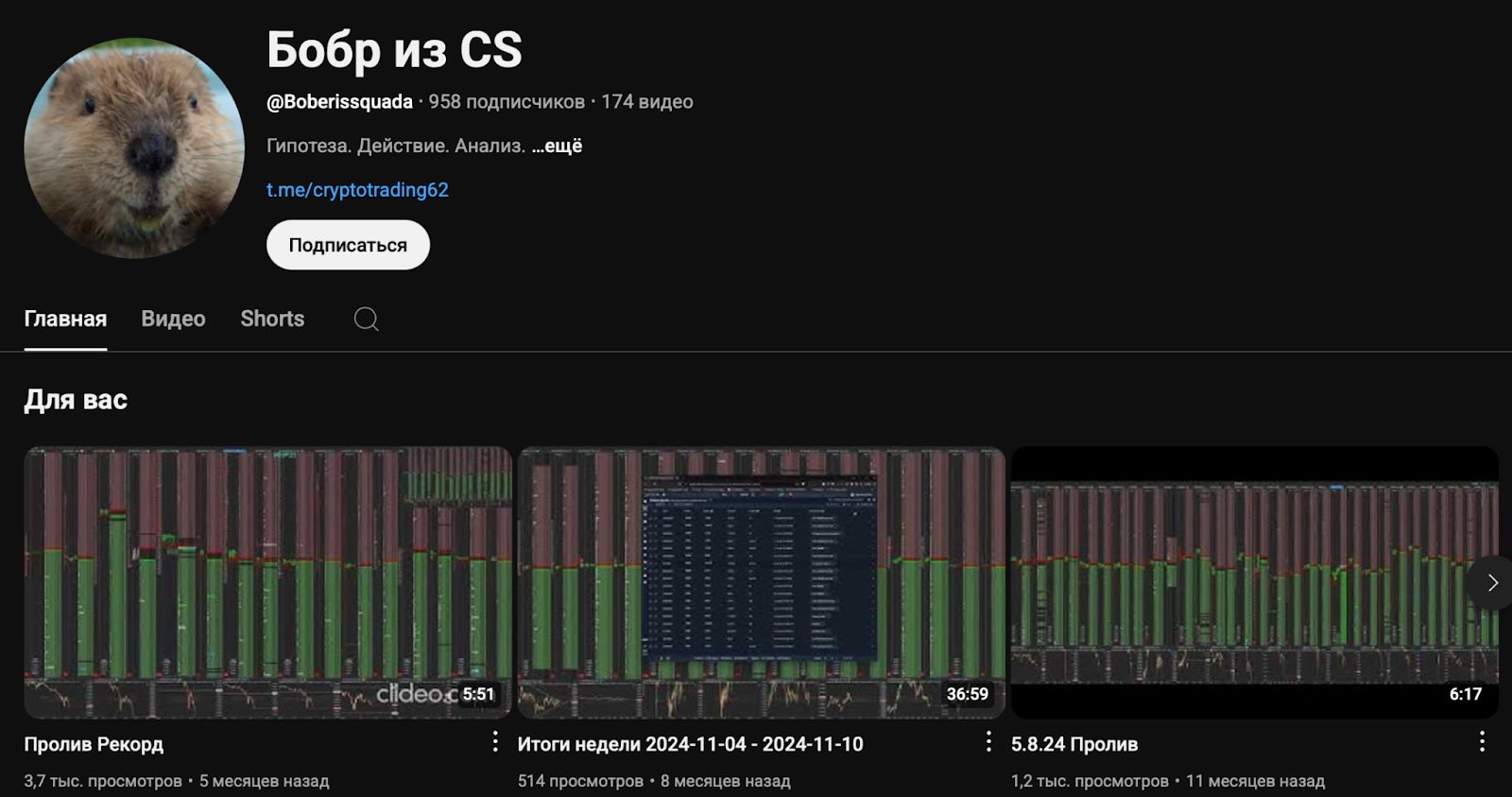 Бобр из CS