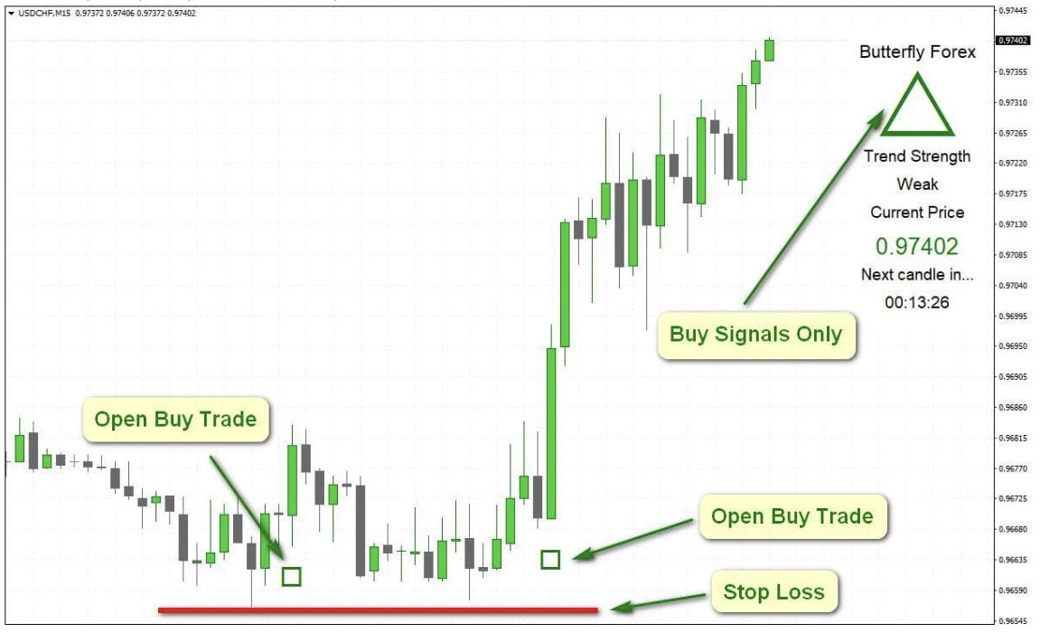 butterfly forex отзывы