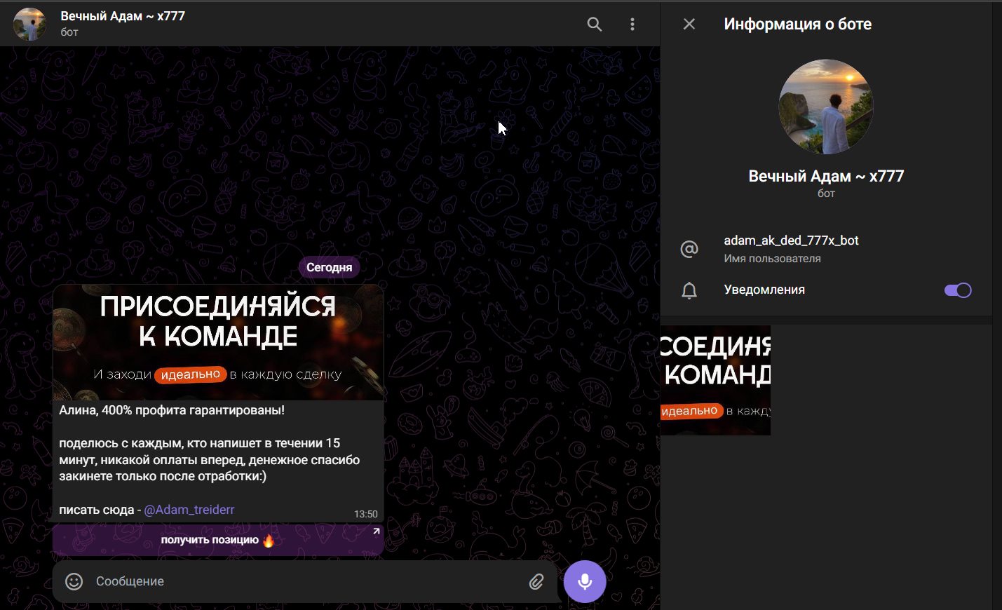 daily trader отзывы