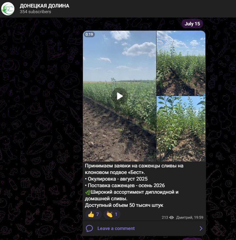 Донецкая Долина