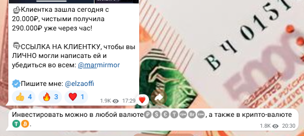эльза трейдер