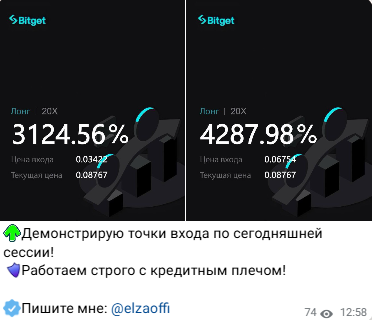 elzaoffi