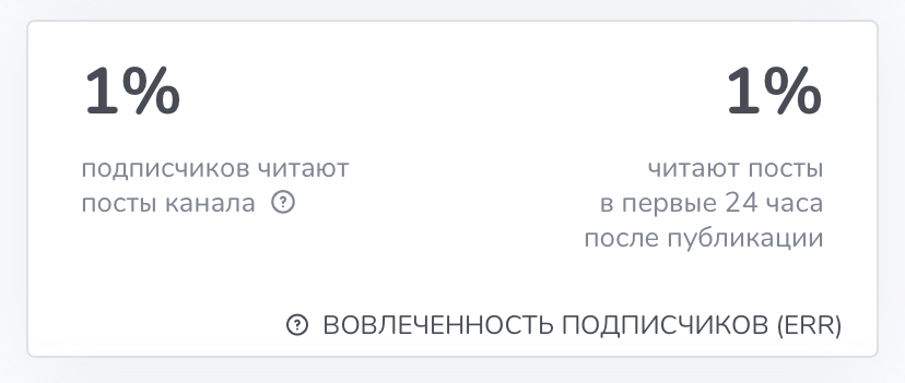 Кот в крипте