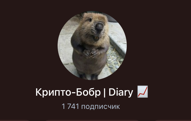 крипто бобр