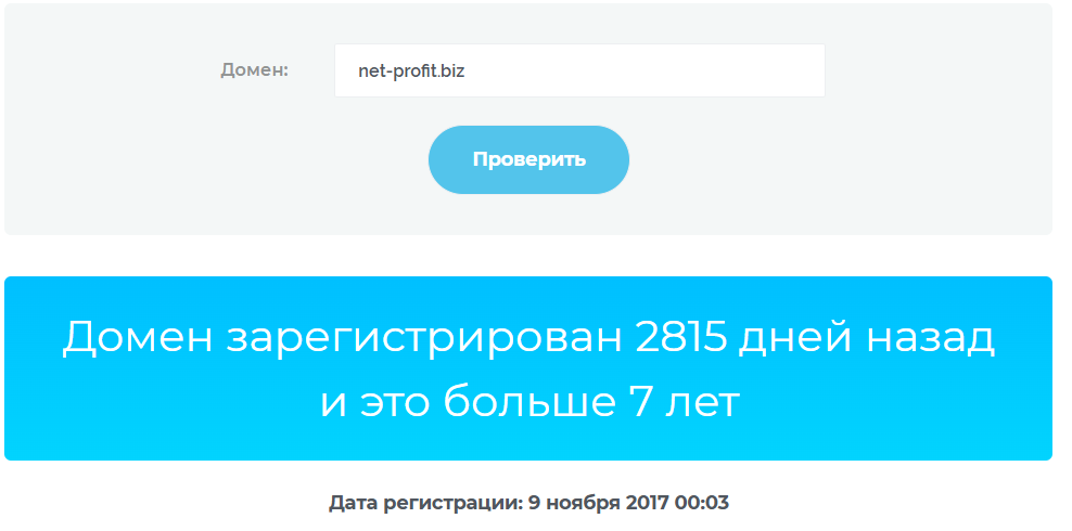 net profit biz