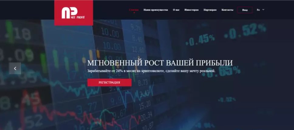 net profit biz