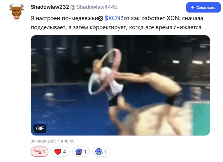 оникс койн крипта
