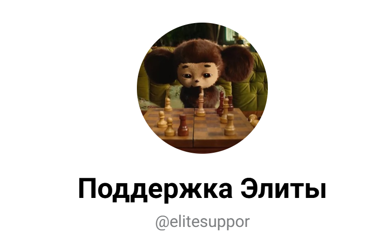 Поддержка Элиты