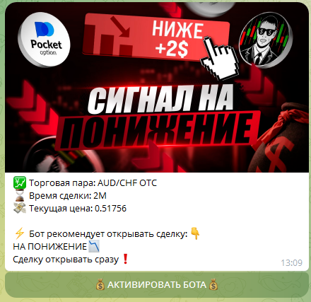 pro option plus