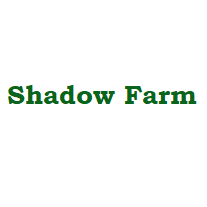 single-best-services-img
