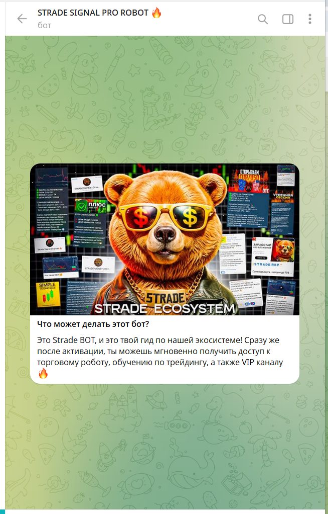 strade money vip отзывы
