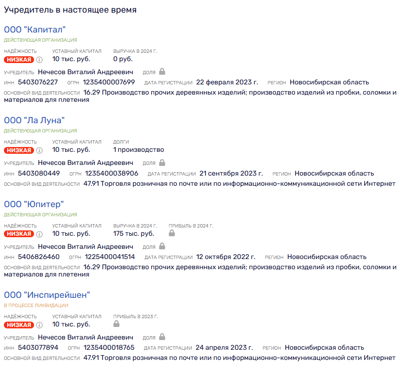 виталий нечесов инвестиции