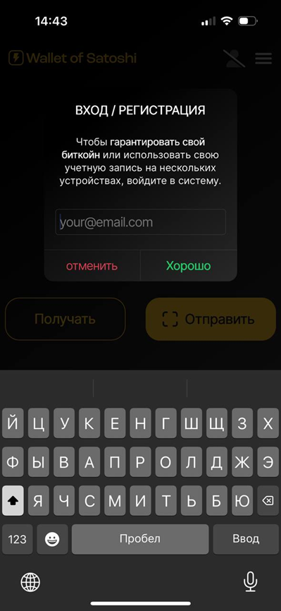 walletofsatoshi com