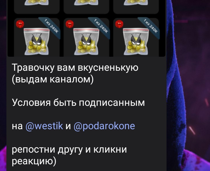 westik тгк