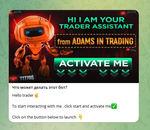 AI TRADER ASSISTANT