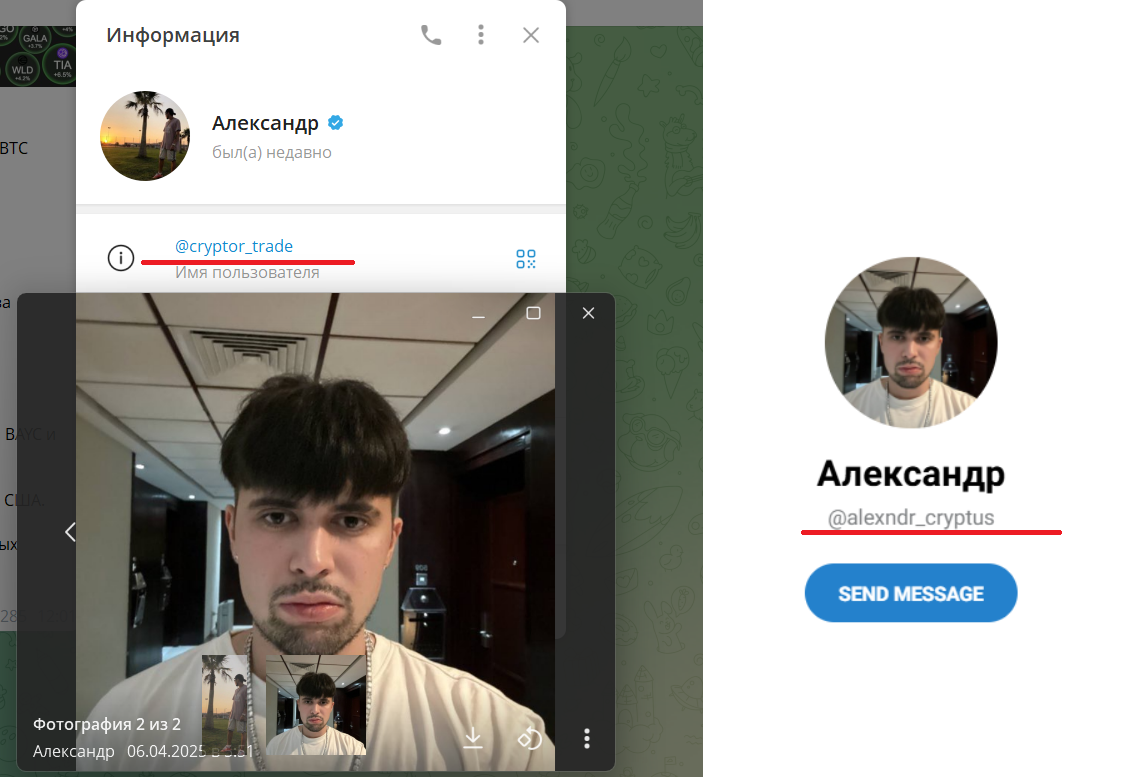 alexander cryptor