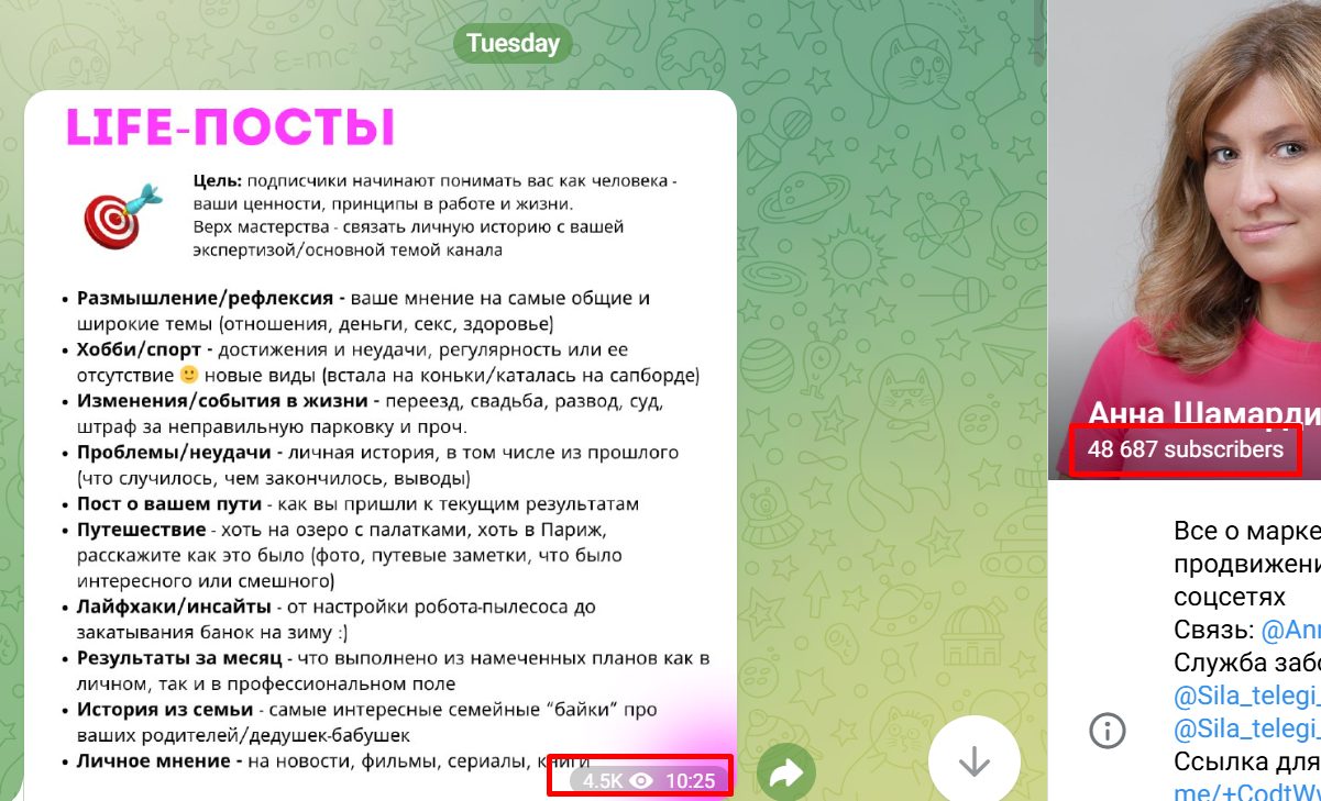 анна шамардина