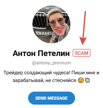 антон петелин мошенник
