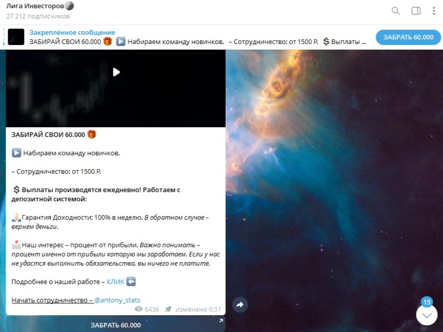 антон петелин телеграмм