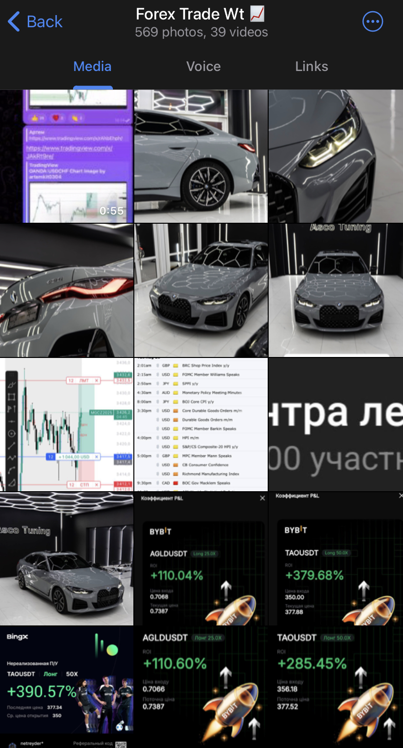 artem0304