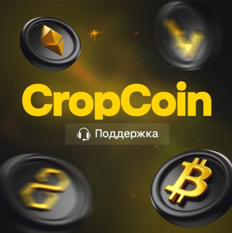 logo-image