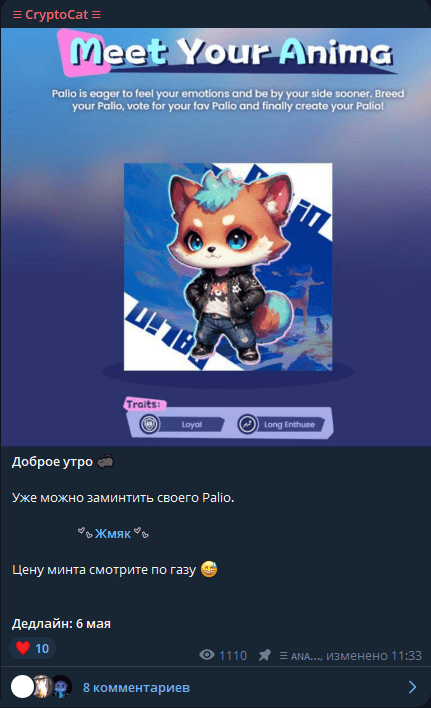 cryptocat