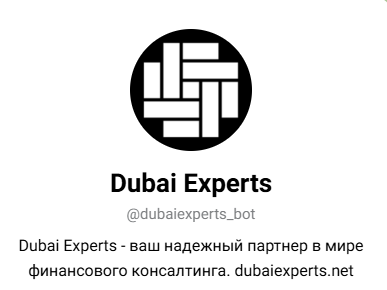 dubaiexperts net