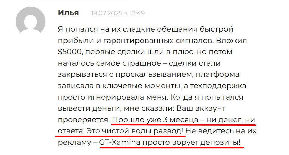 gt xamina biz
