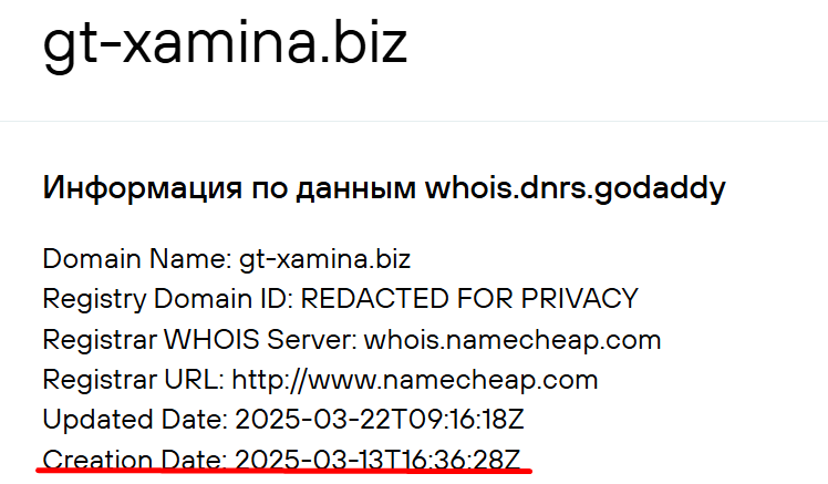 gt xamina biz