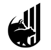 logo-image
