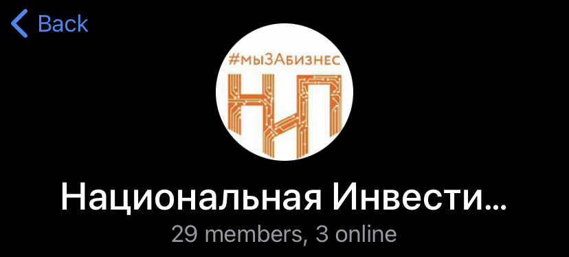 Национальная Инвестиционная Платформа