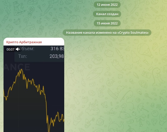 Никита на связи
