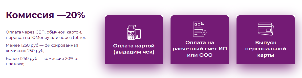 paysaas bot