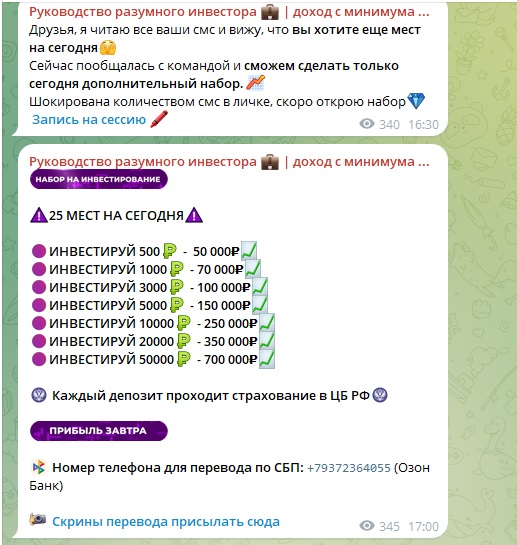 Руководство разумного инвестора Елизавета