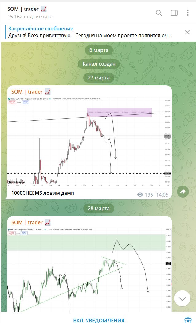 SOM Trader