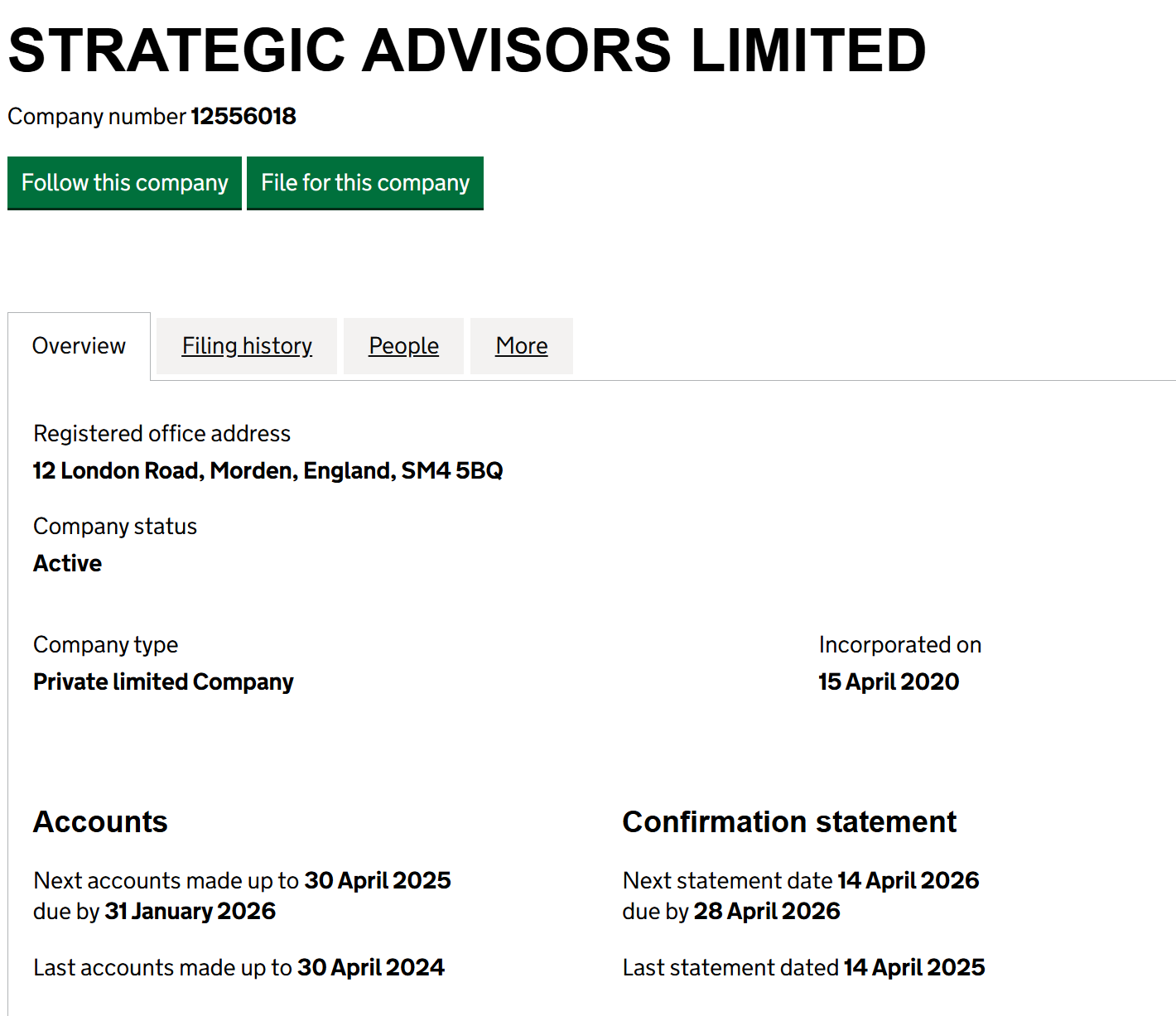 strategic advisers