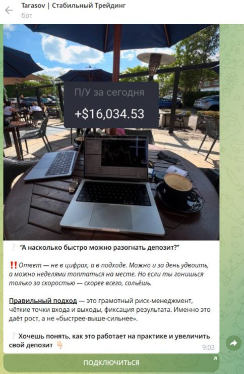 tarasov system telegram