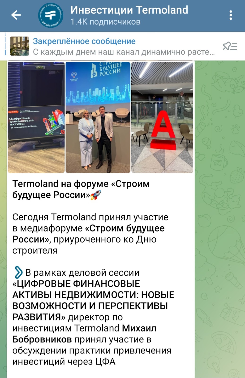 термоленд инвестиции тг канал