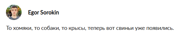 три поросенка telegram канал