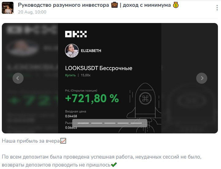 Умный Инвестор Елизавета отзывы