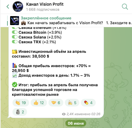 vision profit