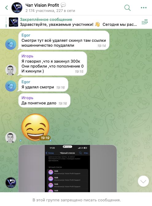 vision profit бот