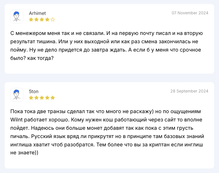 wilnt кошелек