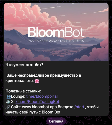 bloom solana bot