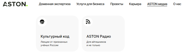 career astondevs ru