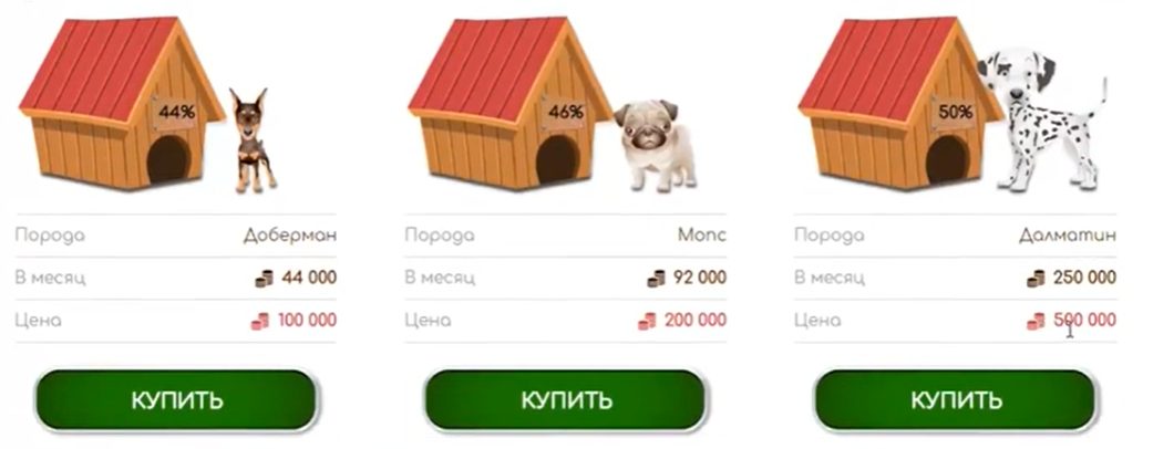 cashdog отзывы