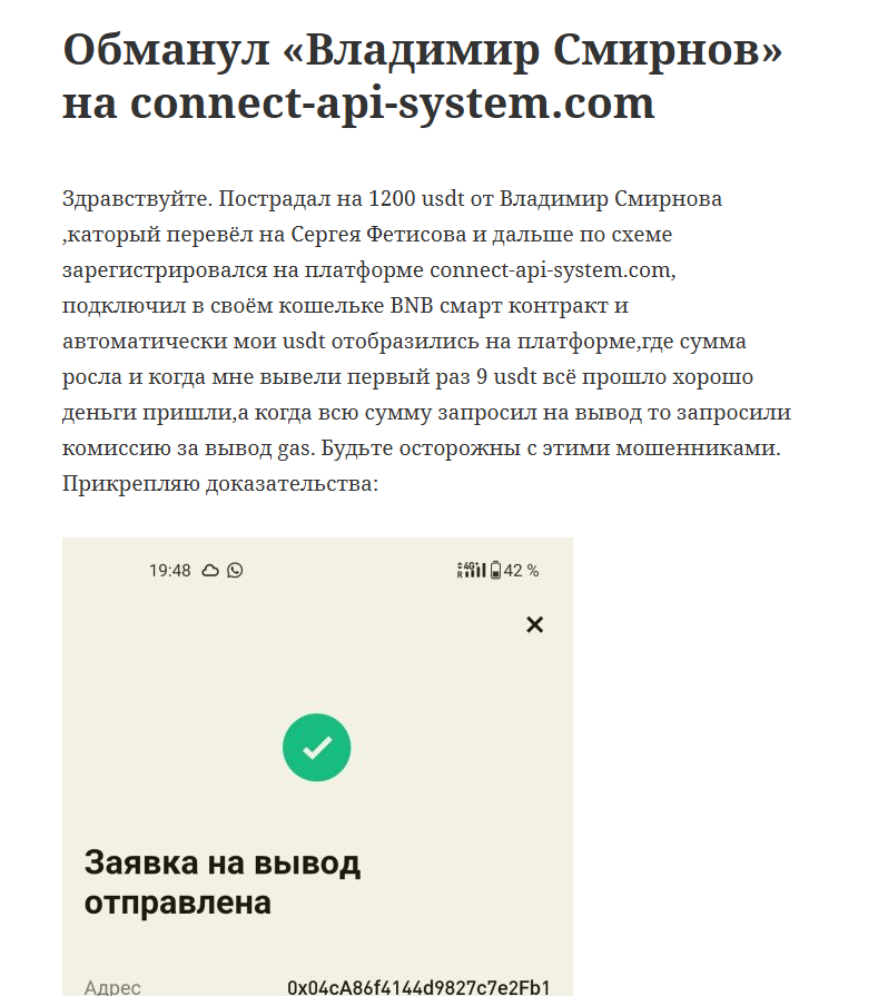 connect api system com